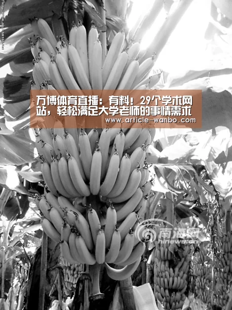 万博体育直播:有料!29个学术网站,轻松满足大学老师的事情需求(图2) 万博体育直播